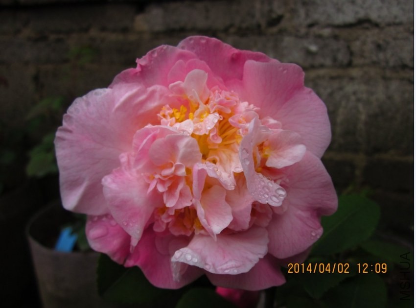 QQͼƬ20140402121700.jpg