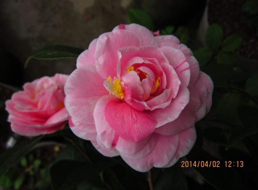 QQͼƬ20140402121717.jpg