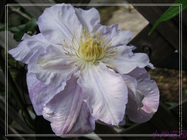 nEO_IMG_IMG_4151.jpg