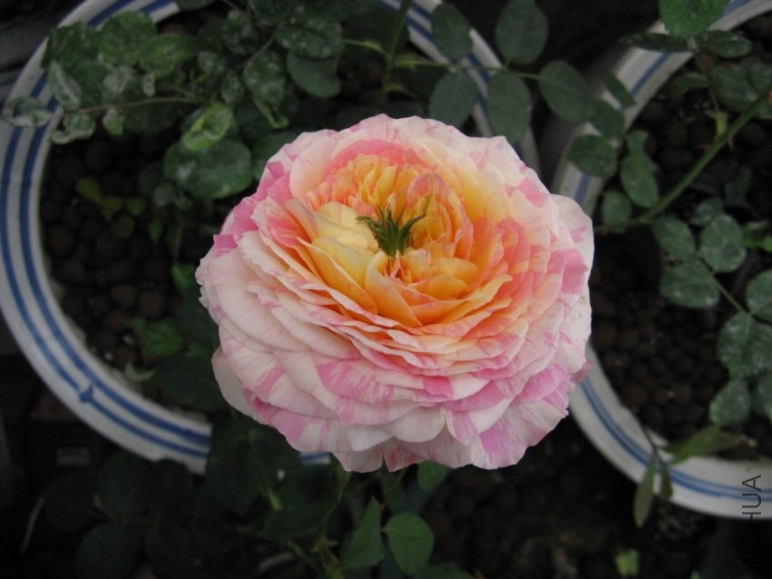 ��Ƭ 043.jpg