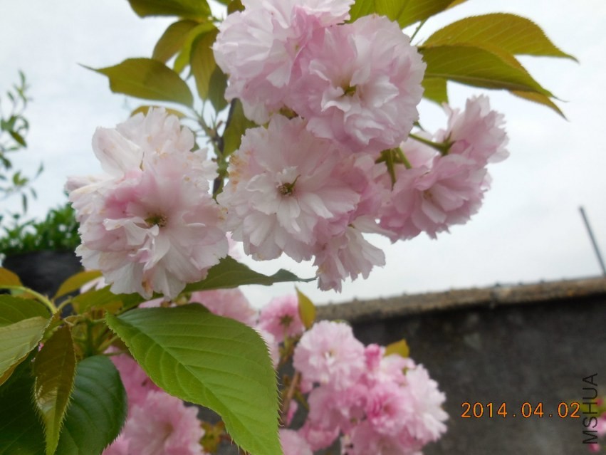 DSCN0347_meitu_3.jpg