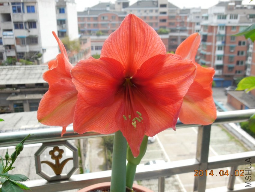 DSCN0355_meitu_11.jpg