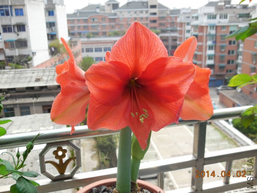 DSCN0356_meitu_12.jpg