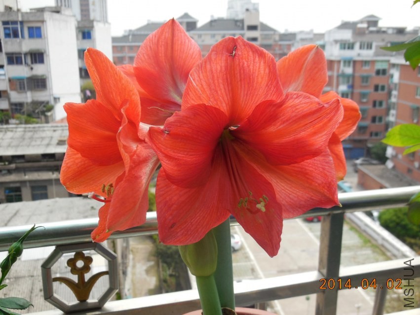 DSCN0357_meitu_13.jpg