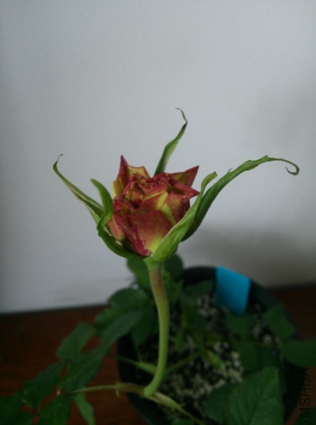 QQͼƬ20140402212715.jpg