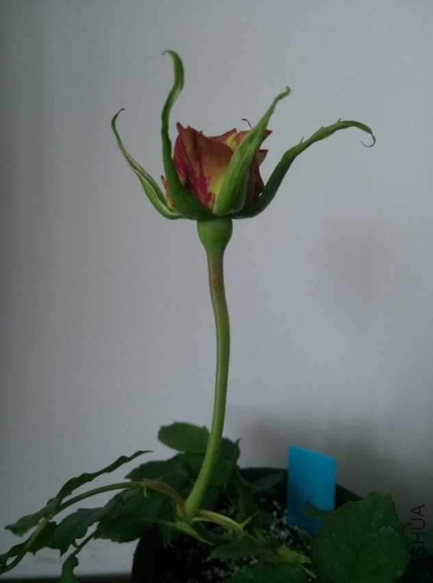 QQͼƬ20140402212724.jpg