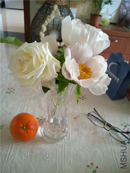 MediaLib_Camera Roll_WP_20140402_007.jpg