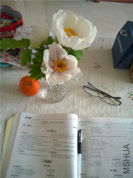 MediaLib_Camera Roll_WP_20140402_005.jpg