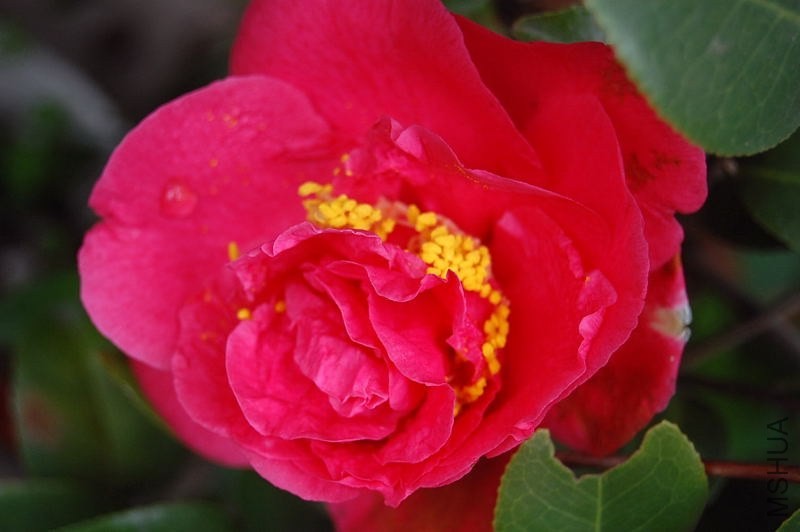 DSC_00090009.JPG