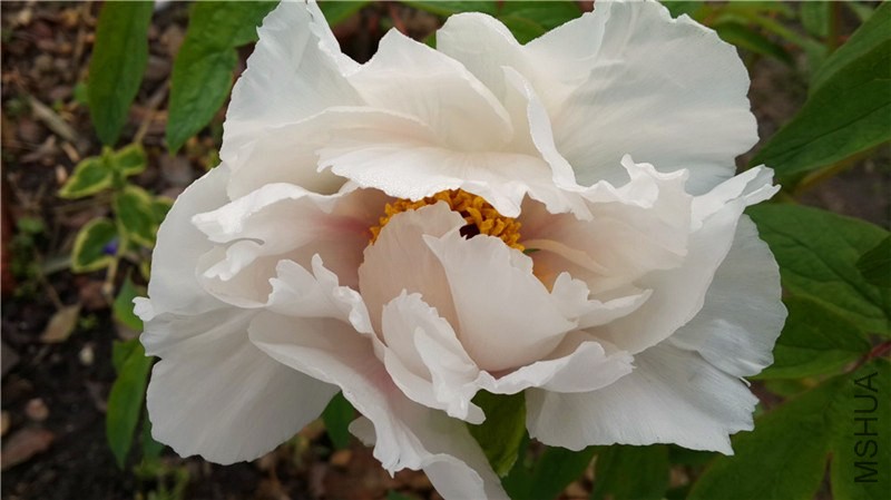 20140403_073144.jpg