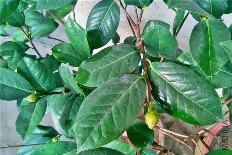 WP_20131010_030.jpg