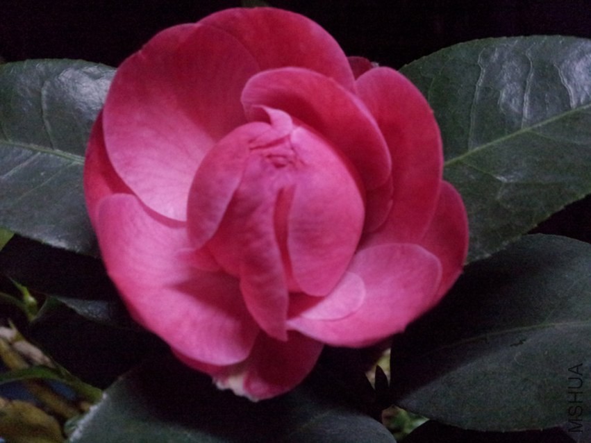 20140326_231534.jpg