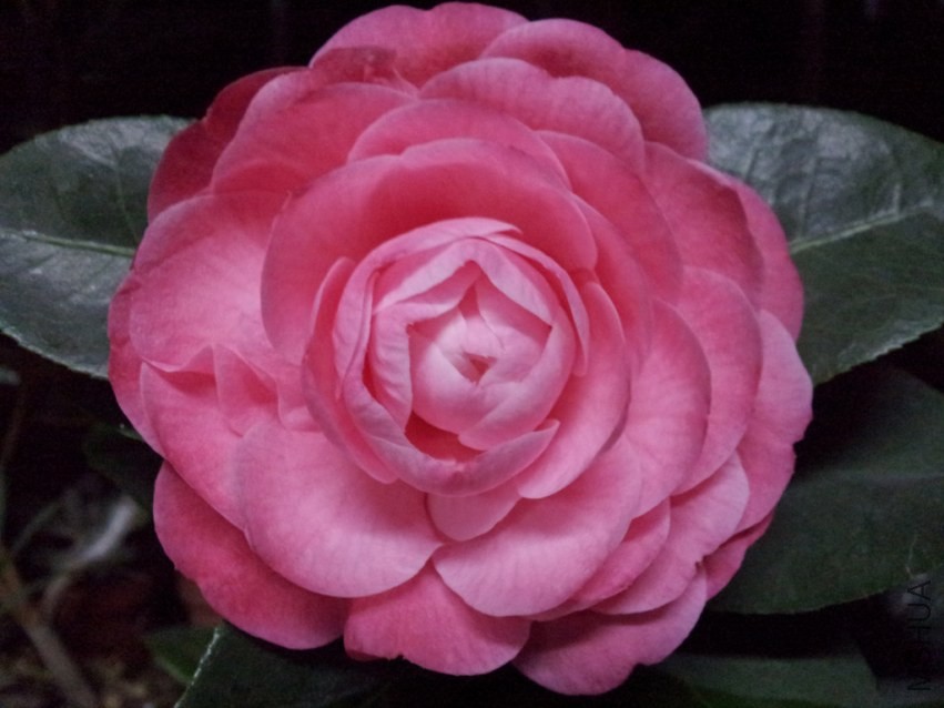 20140327_221434.jpg