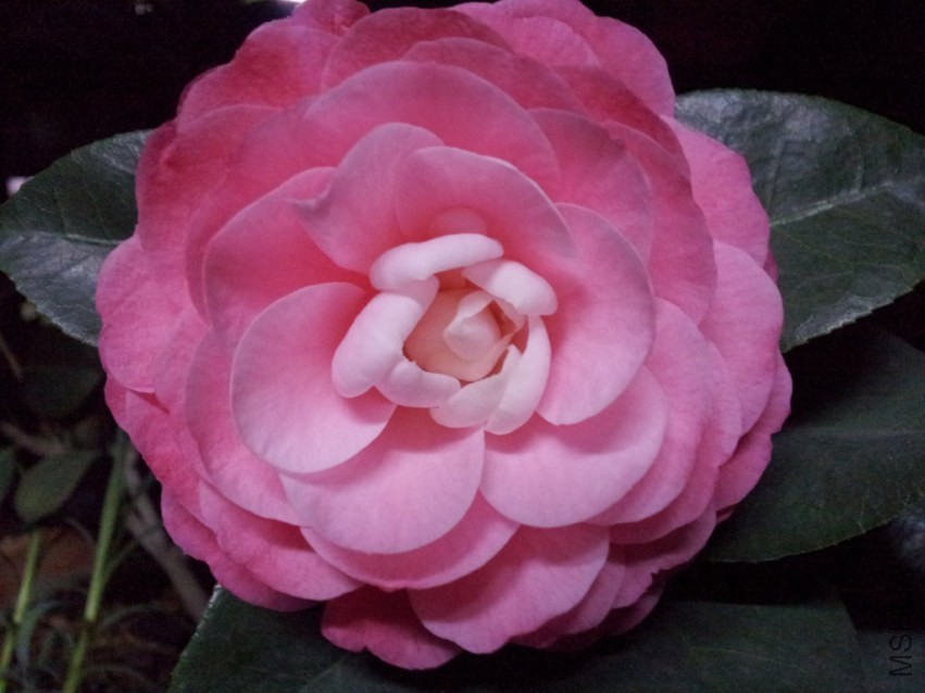 20140328_193246.jpg