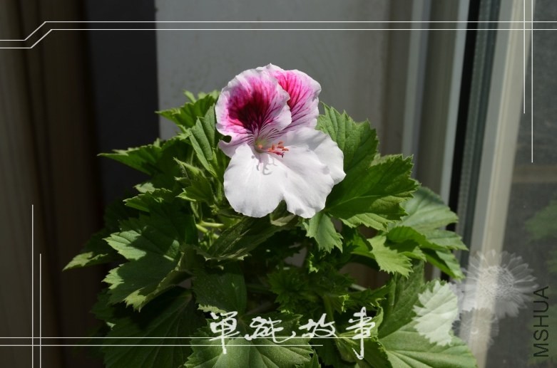 ���� 0403.jpg