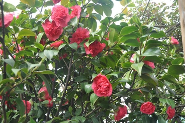 2014�軨 004.jpg