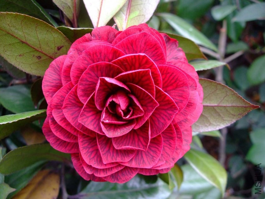 �ڱ��� 2014-4-2 039.jpg