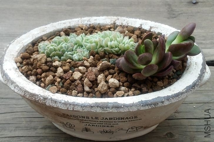 QQͼƬ20140403092920.jpg