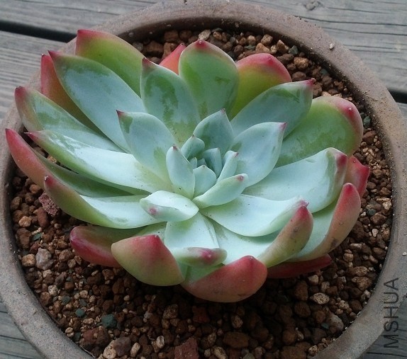 QQͼƬ20140403092912.jpg