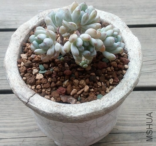 QQͼƬ20140403092935.jpg