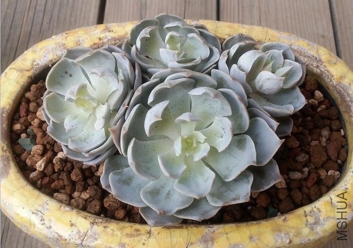QQͼƬ20140403093153.jpg