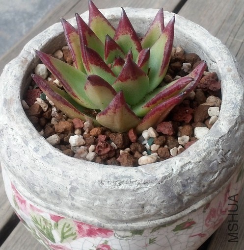 QQͼƬ20140403093216.jpg