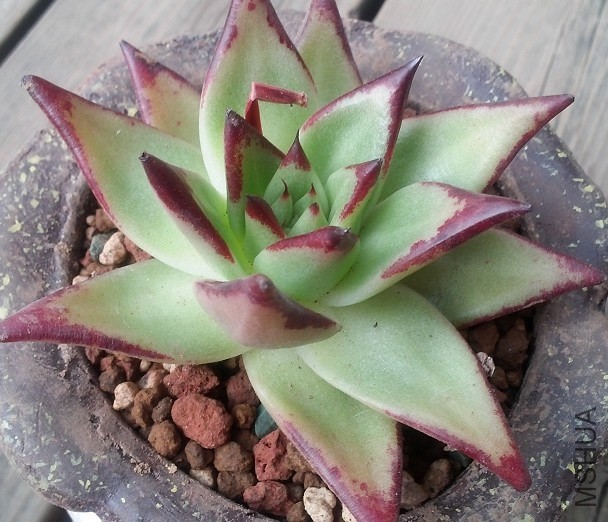 QQͼƬ20140403093204.jpg