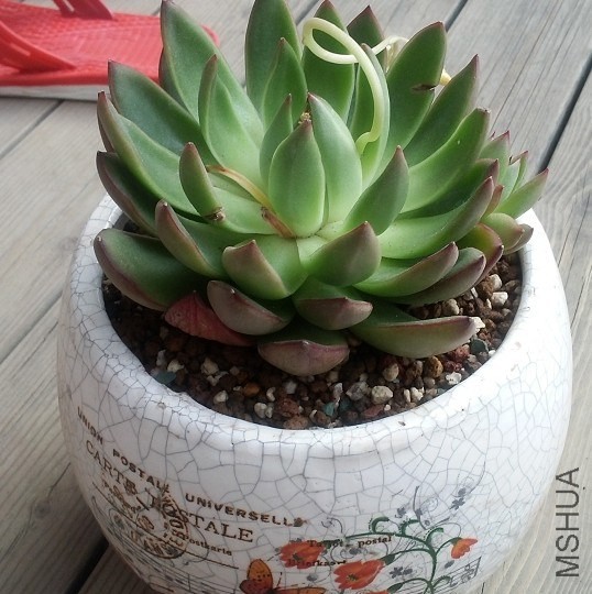 QQͼƬ20140403093328.jpg