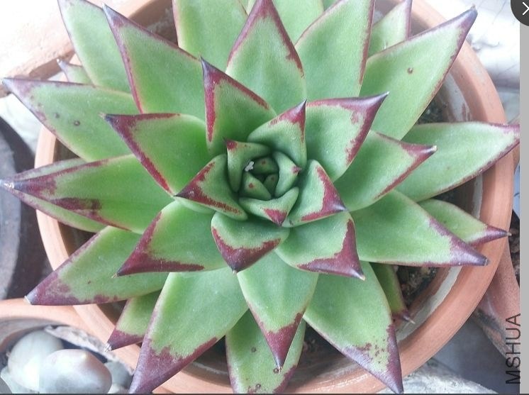 QQͼƬ20140403094214.jpg