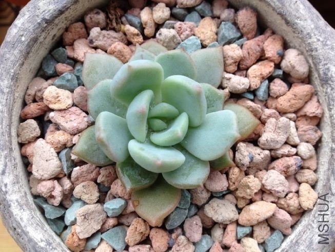QQͼƬ20140403095020.jpg