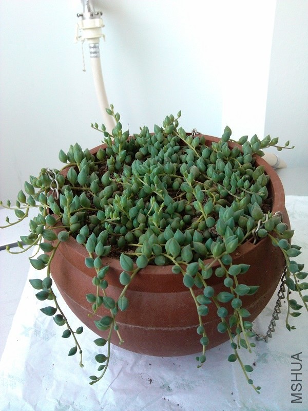 2������һ��.jpg