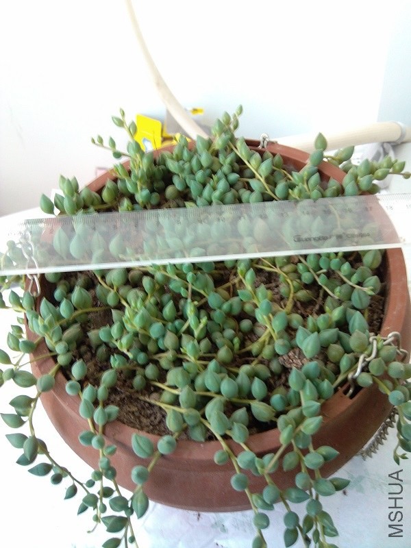 2������һ��20.jpg
