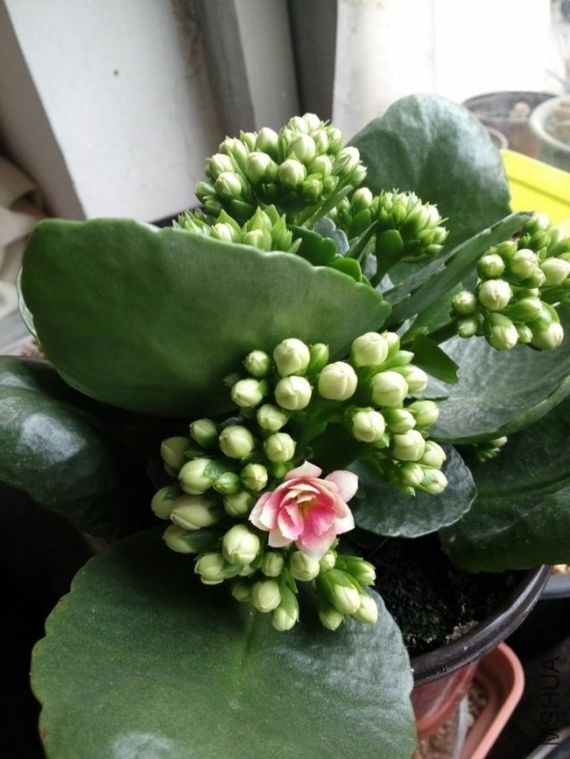 QQͼƬ20140403193233.jpg