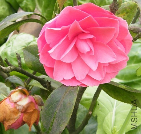 QQͼƬ20140403220215.jpg