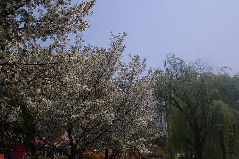 DSC_06700670.JPG