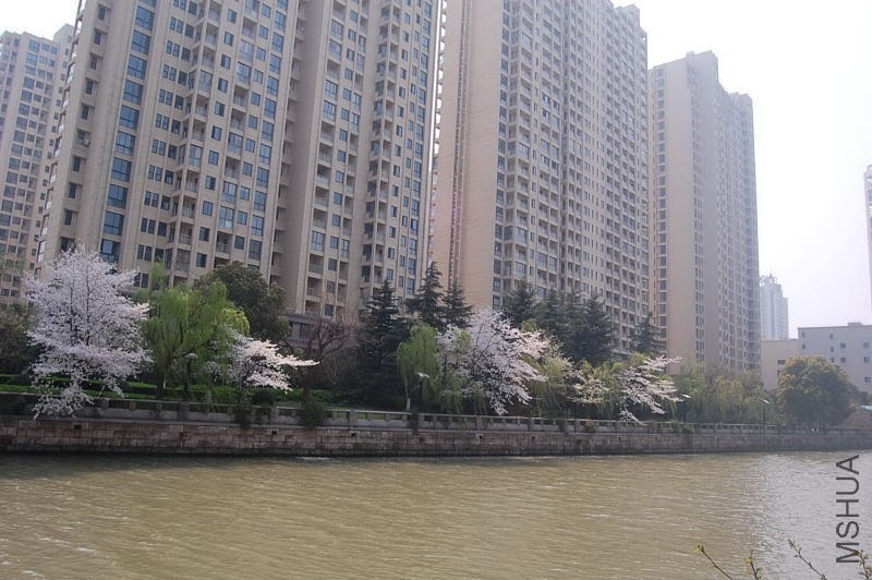 DSC_05420542.JPG