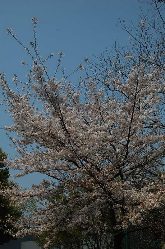 DSC_06970697.JPG