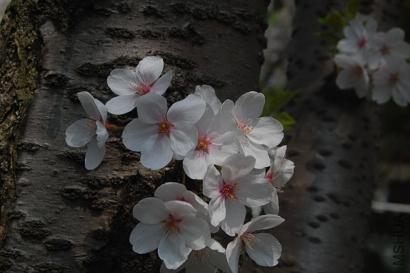 DSC_03470347.JPG