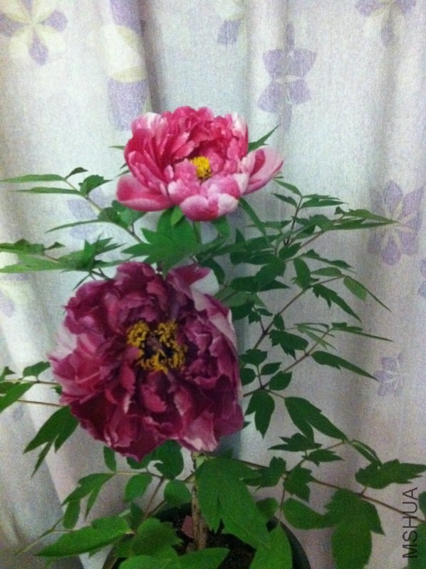 ��Ƭ 074.jpg