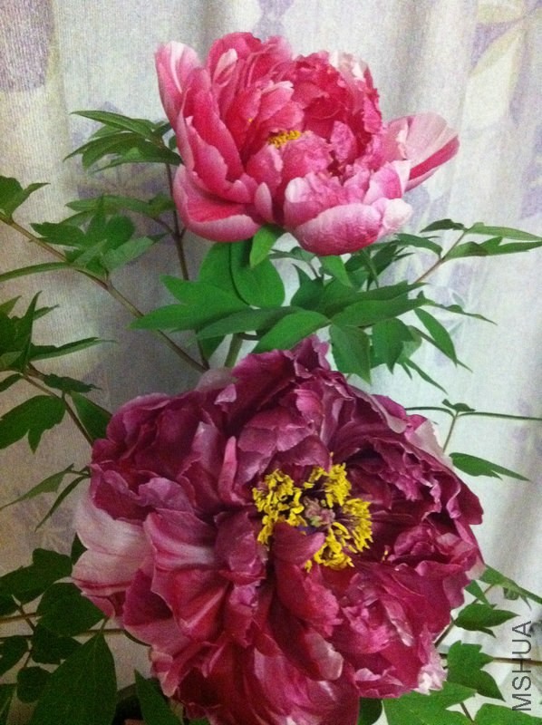 ��Ƭ 076.jpg