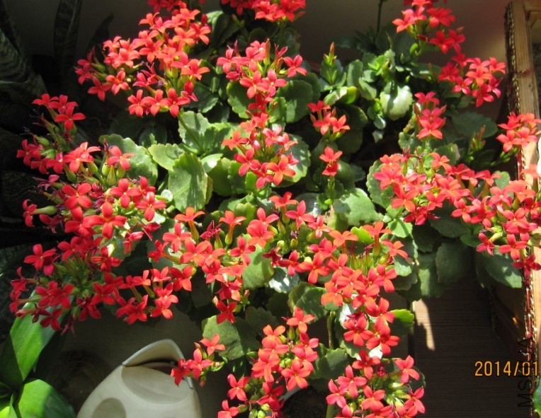 QQͼƬ20140404080852.jpg