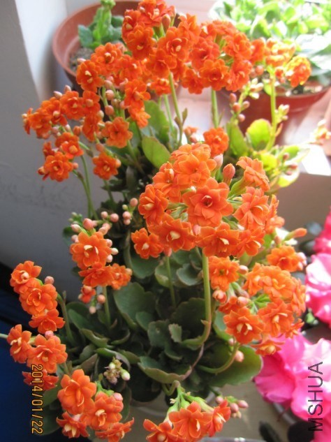 QQͼƬ20140404080952.jpg