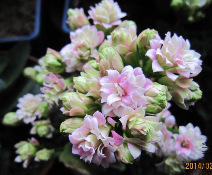 QQͼƬ20140404081023.jpg