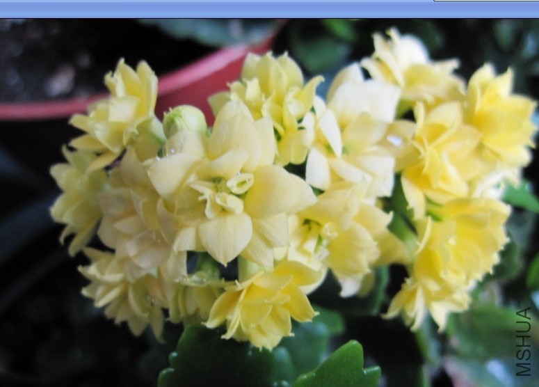QQͼƬ20140404081116.jpg