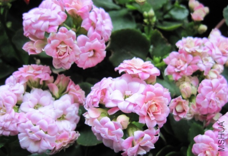 QQͼƬ20140404081147.jpg