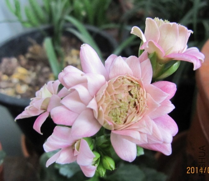 QQͼƬ20140404081220.jpg