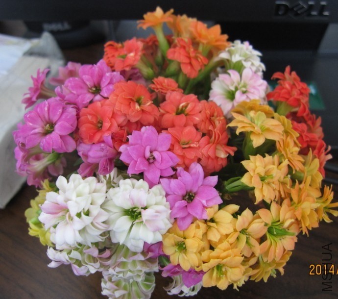 QQͼƬ20140404081243.jpg