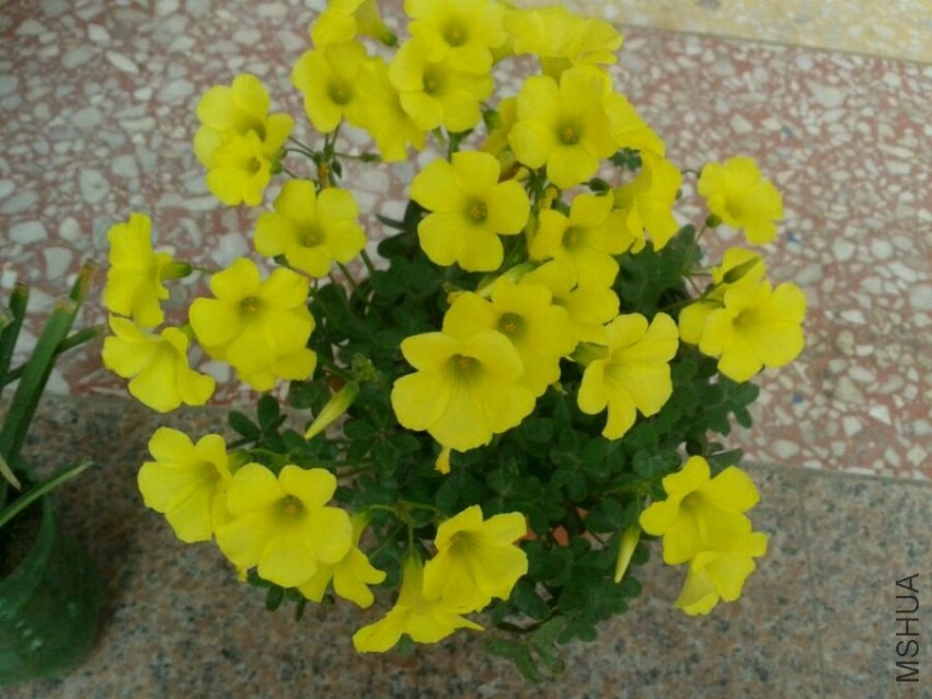 9a2ab80e7bec54e7da0ff7b6bb389b504ec26a49.jpg