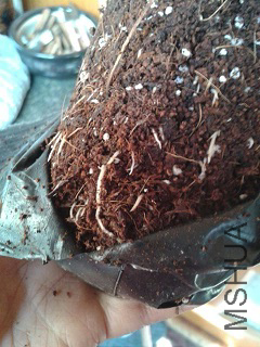 QQ�G20140404103929.jpg
