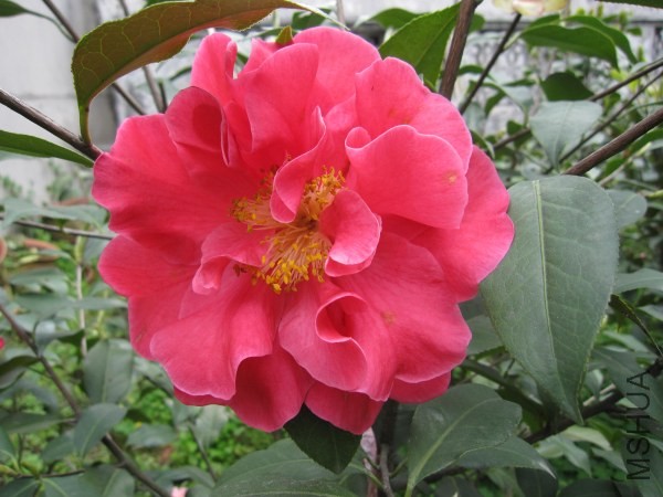 IMG_0302.jpg